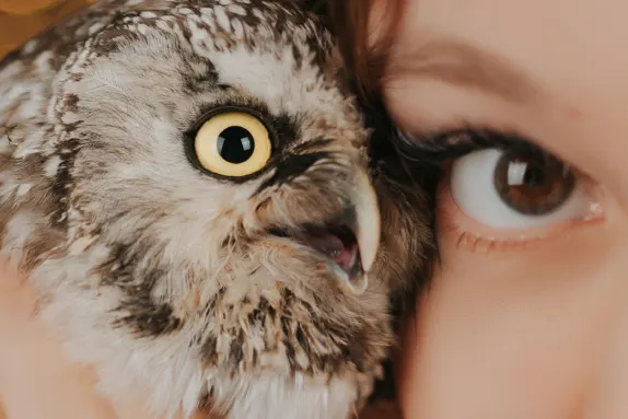 Casino Royal Winner Support